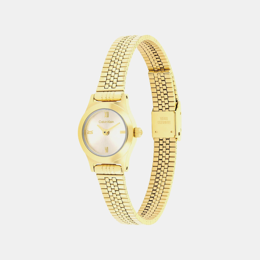 Ck Contemporary Women Quartz Gold Dial Analog Stainless Steel Watch 25100201