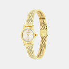 Ck Contemporary Women Quartz Gold Dial Analog Stainless Steel Watch 25100201
