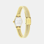 Ck Contemporary Women Quartz Gold Dial Analog Stainless Steel Watch 25100201