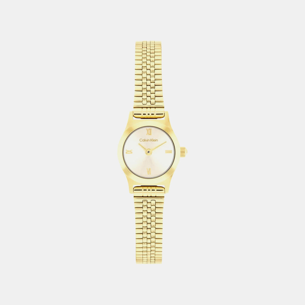 Ck Contemporary Women Quartz Gold Dial Analog Stainless Steel Watch 25100201