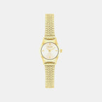 Ck Contemporary Women Quartz Gold Dial Analog Stainless Steel Watch 25100201