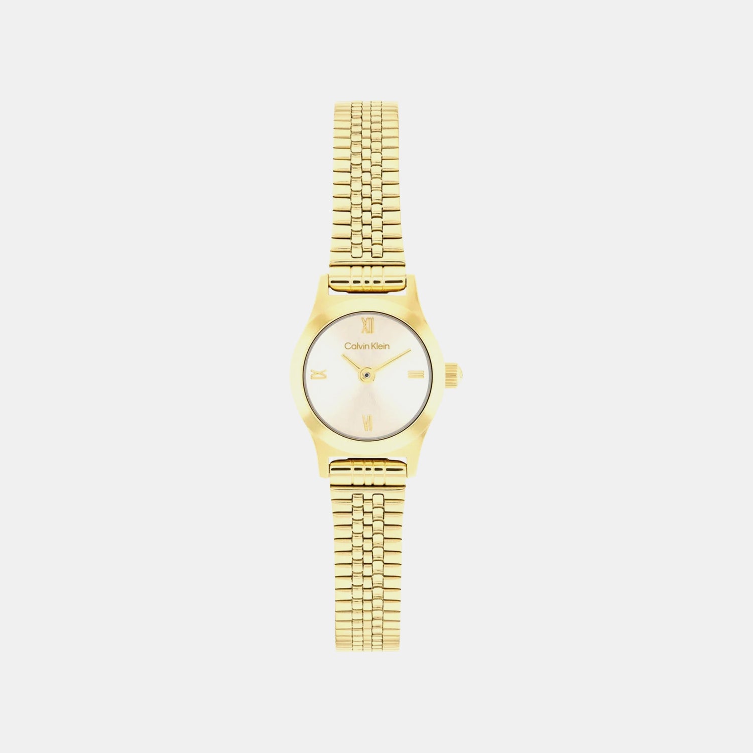Ck Contemporary Women Quartz Gold Dial Analog Stainless Steel Watch 25100201