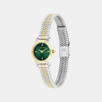 Ck Contemporary Women Quartz Green Dial Analog Stainless Steel Watch 25100202
