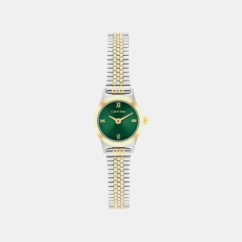 Ck Contemporary Women Quartz Green Dial Analog Stainless Steel Watch 25100202