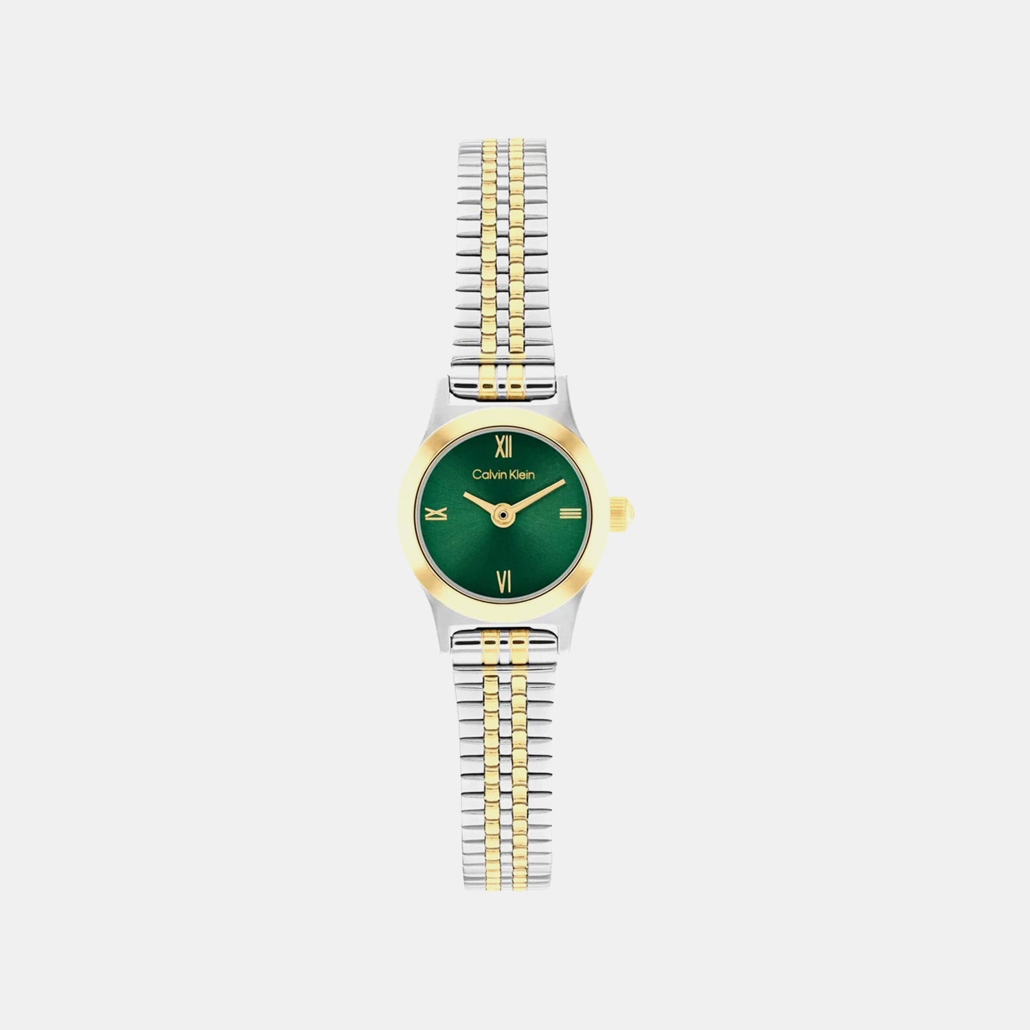 Ck Contemporary Women Quartz Green Dial Analog Stainless Steel Watch 25100202