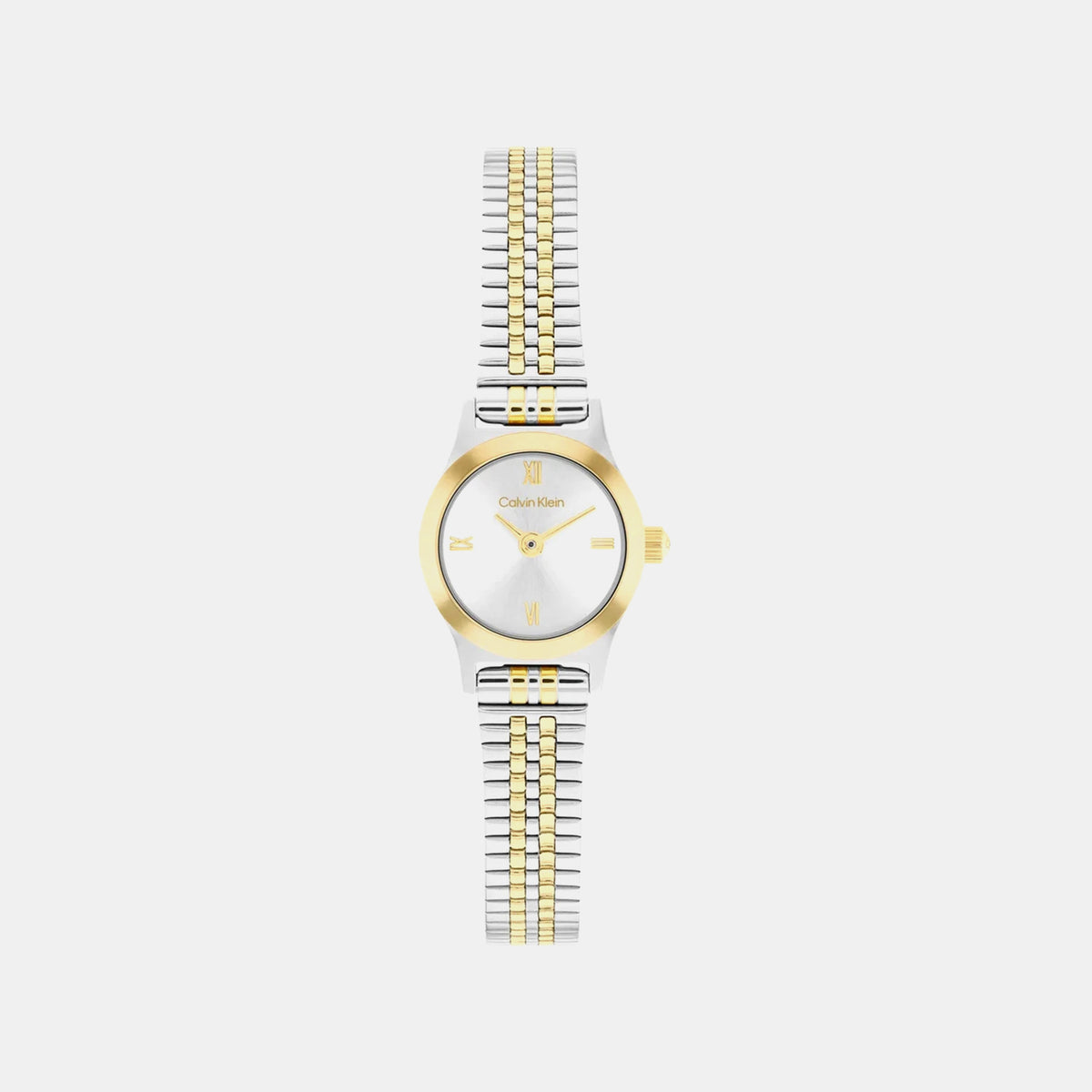 Contemporary Women Quartz Silver Dial Analog Stainless Steel Watch 25100207