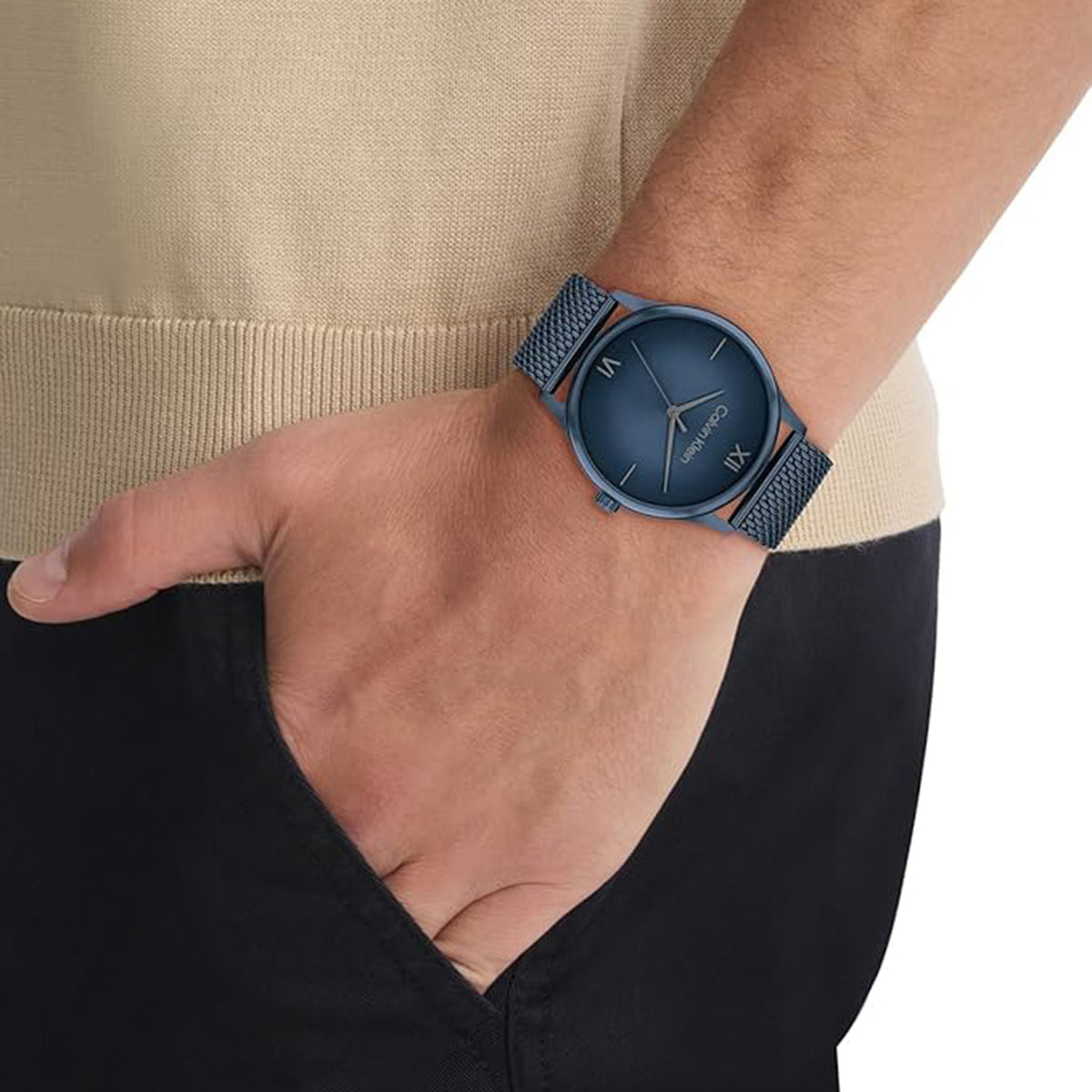 Ascend Men Quartz Blue Dial Analog Mesh Watch 25200451