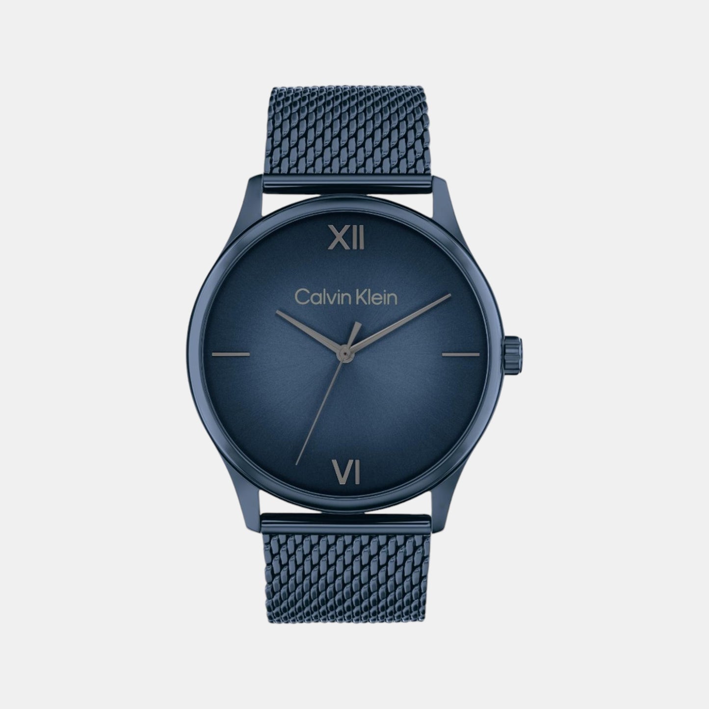 Men Analog Blue Mesh Watch 25200451