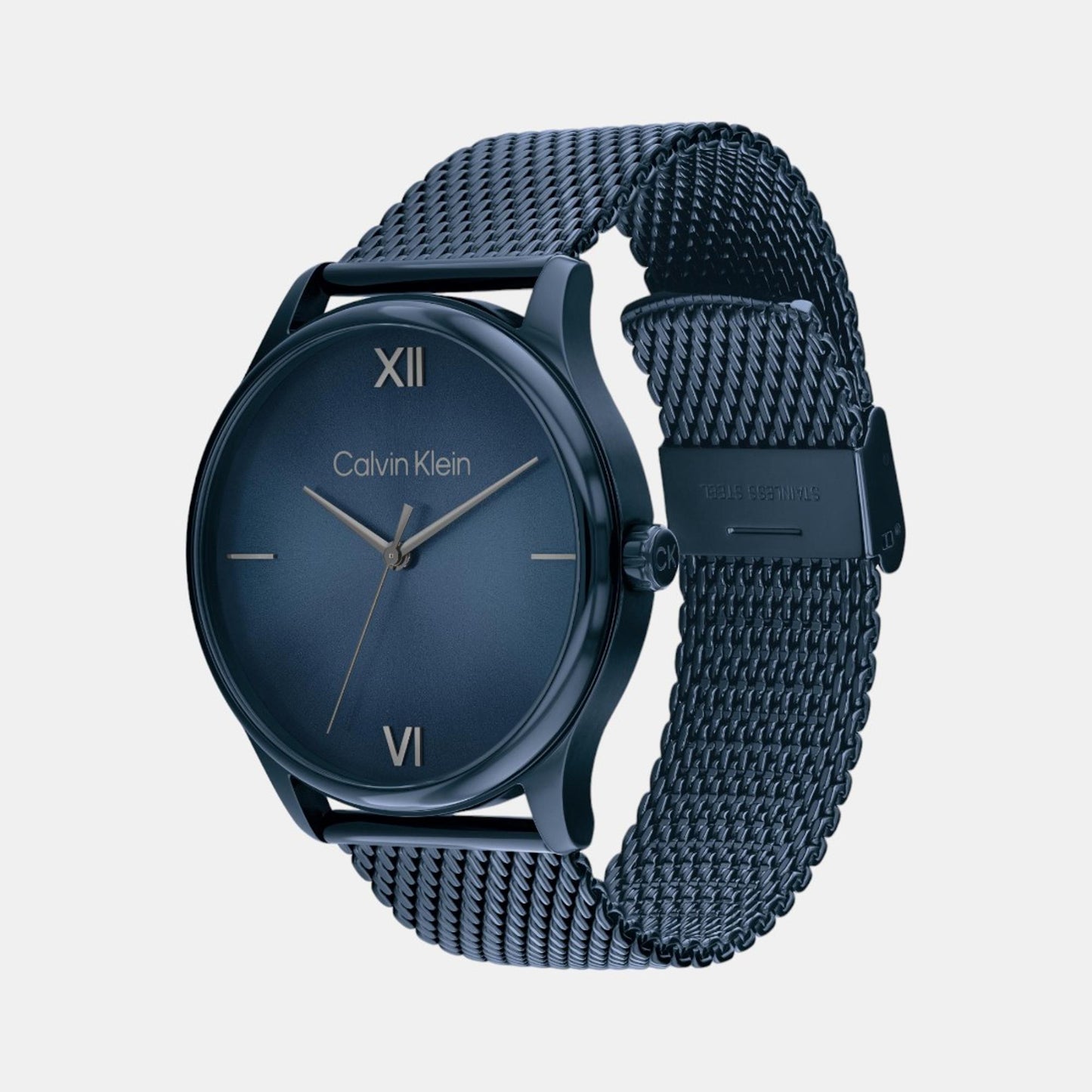 Men Analog Blue Mesh Watch 25200451