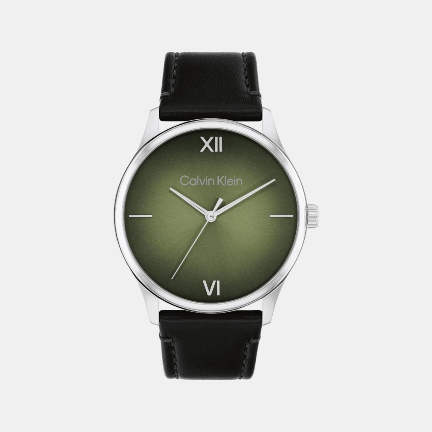 Men Analog Olive Green Leather Watch 25200454