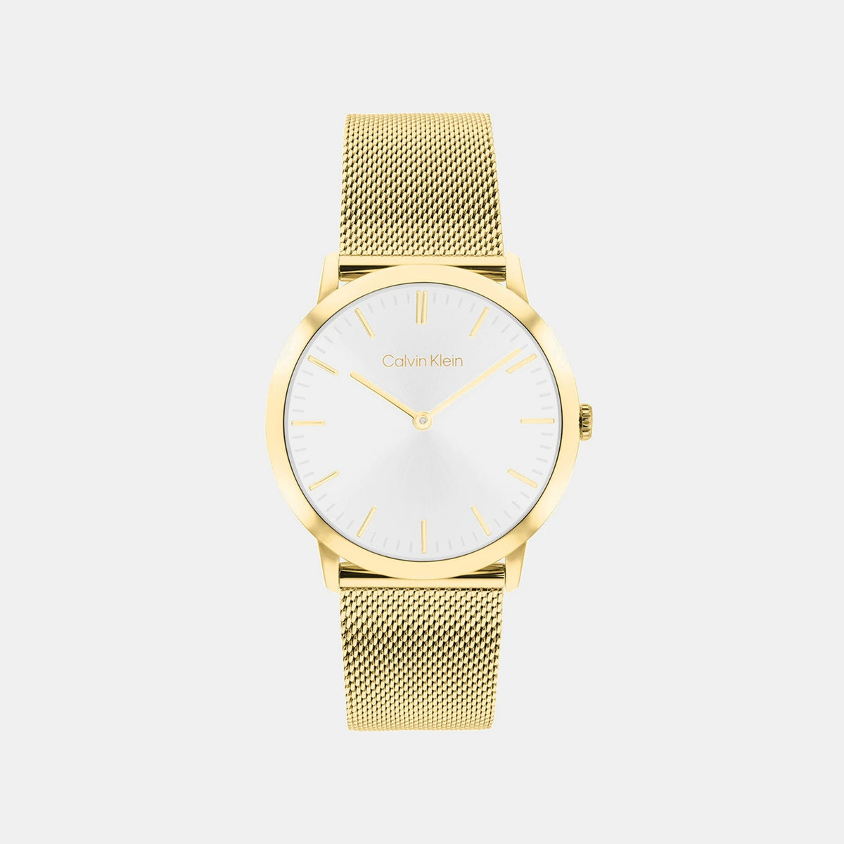 Men Quartz Silver Dial Analog Mesh Watch 25200602