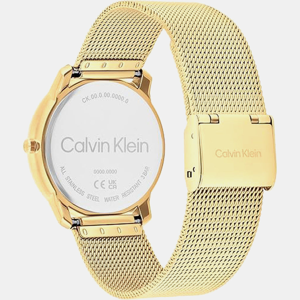Ck Iconic Women Quartz Black Dial Analog Mesh Watch 25300016