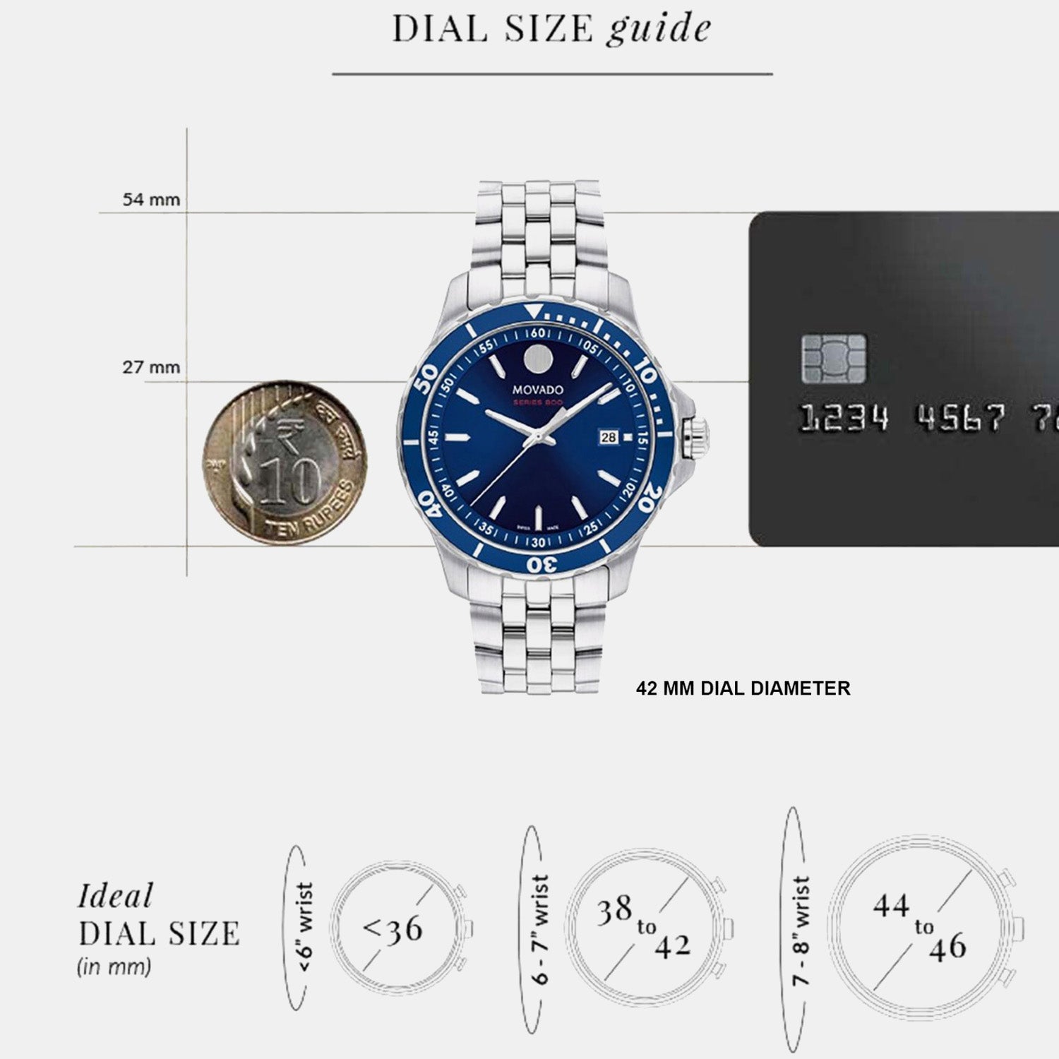 Series 800 Men Quartz Blue Dial Analog Stainless Steel Watch 2600183