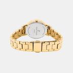 Multiples Women Quartz Green Dial Analog Stainless Steel Watch 351K562