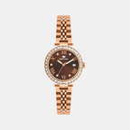 Women Quartz Brown Dial Analog Stainless Steel Watch 4505E-M3306