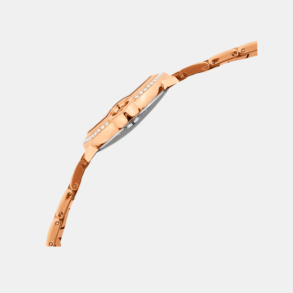 Women Quartz Brown Dial Analog Metal Watch 4510B-M3306