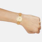 Enticer Women Quartz Gold Dial Analog Leather Watch A2426