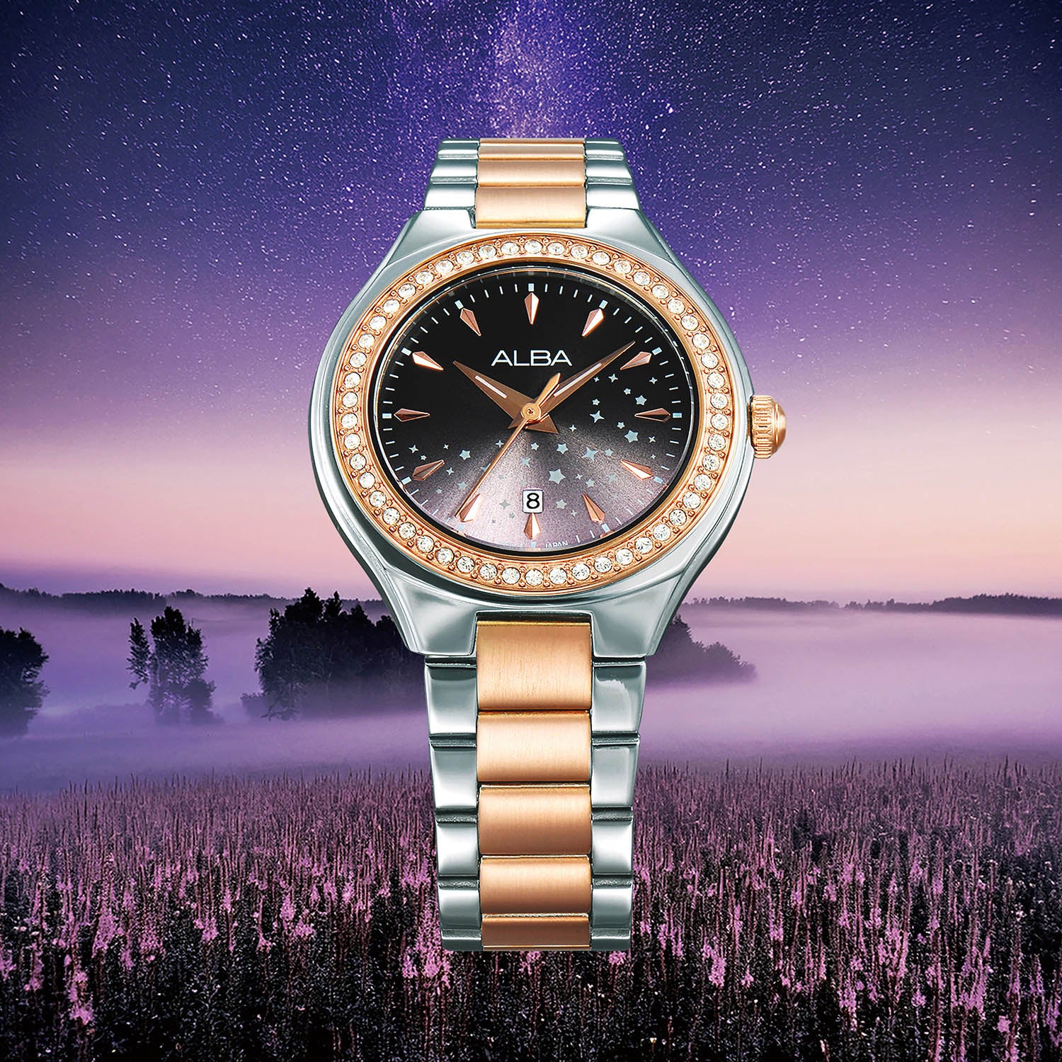 Stardust Elegance Women Quartz Black Dial Analog Steel Watch AH7ET6X1