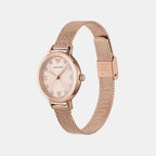 Cleo Women Quartz Rose Gold Dial Analog Mesh Watch AR11512