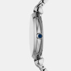 Women Quartz Grey Dial Analog Stainless Steel Watch AR11627