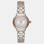 Women Quartz Silver Dial Analog Stainless Steel Watch AR11643