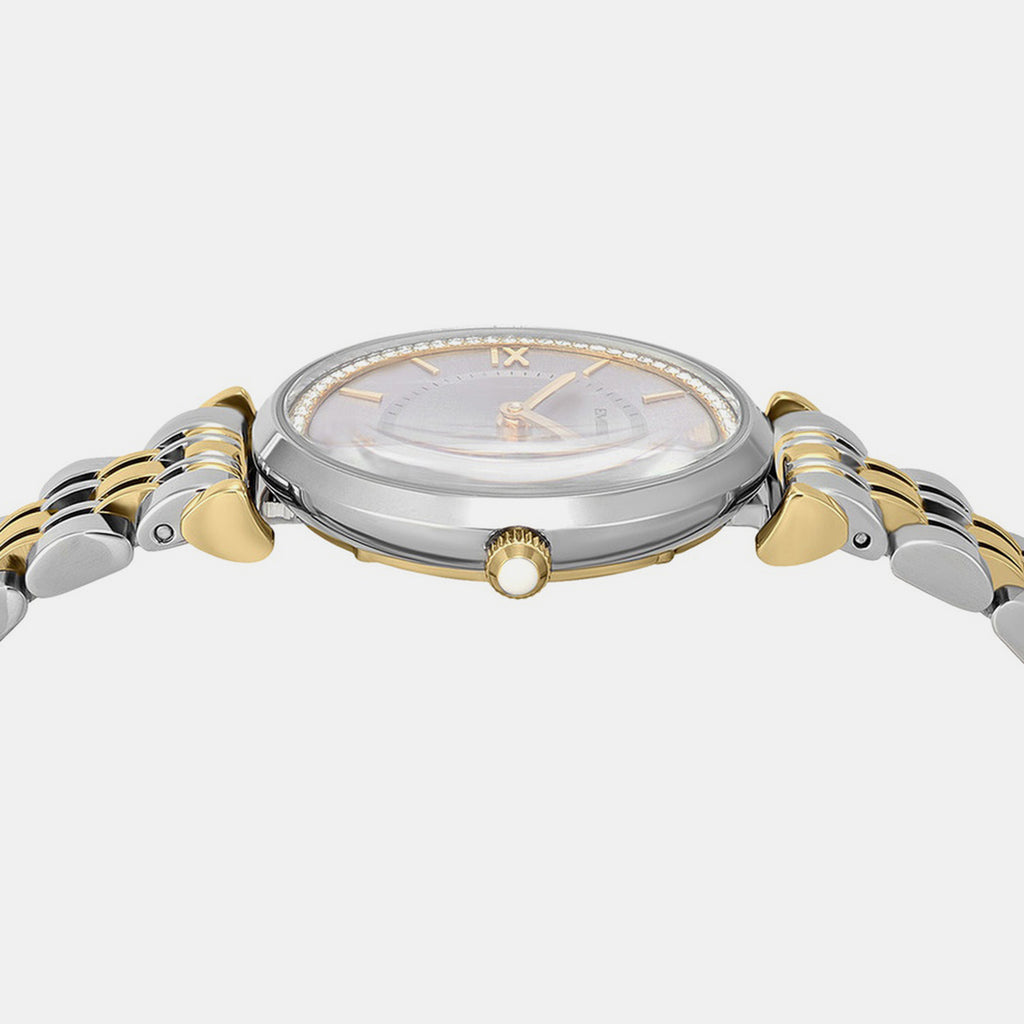 Women Quartz Brown Dial Analog Stainless Steel Watch AR11702