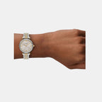 Women Quartz Brown Dial Analog Stainless Steel Watch AR11702