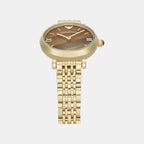 Women Quartz Brown Dial Analog Stainless Steel Watch AR11703