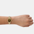 Women Quartz Brown Dial Analog Stainless Steel Watch AR11703