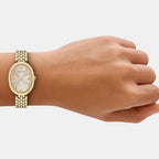 Women Quartz Grey Dial Analog Stainless Steel Watch AR11707