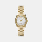 Women Quartz Mother Of Pearl Dial Analog Stainless Steel Watch AR11793
