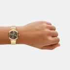 Women Quartz Brown Dial Analog Stainless Steel Watch AR11810