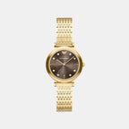 Women Quartz Brown Dial Analog Stainless Steel Watch AR11810