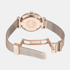 Women Quartz Silver Dial Analog Stainless Steel Watch AR1956