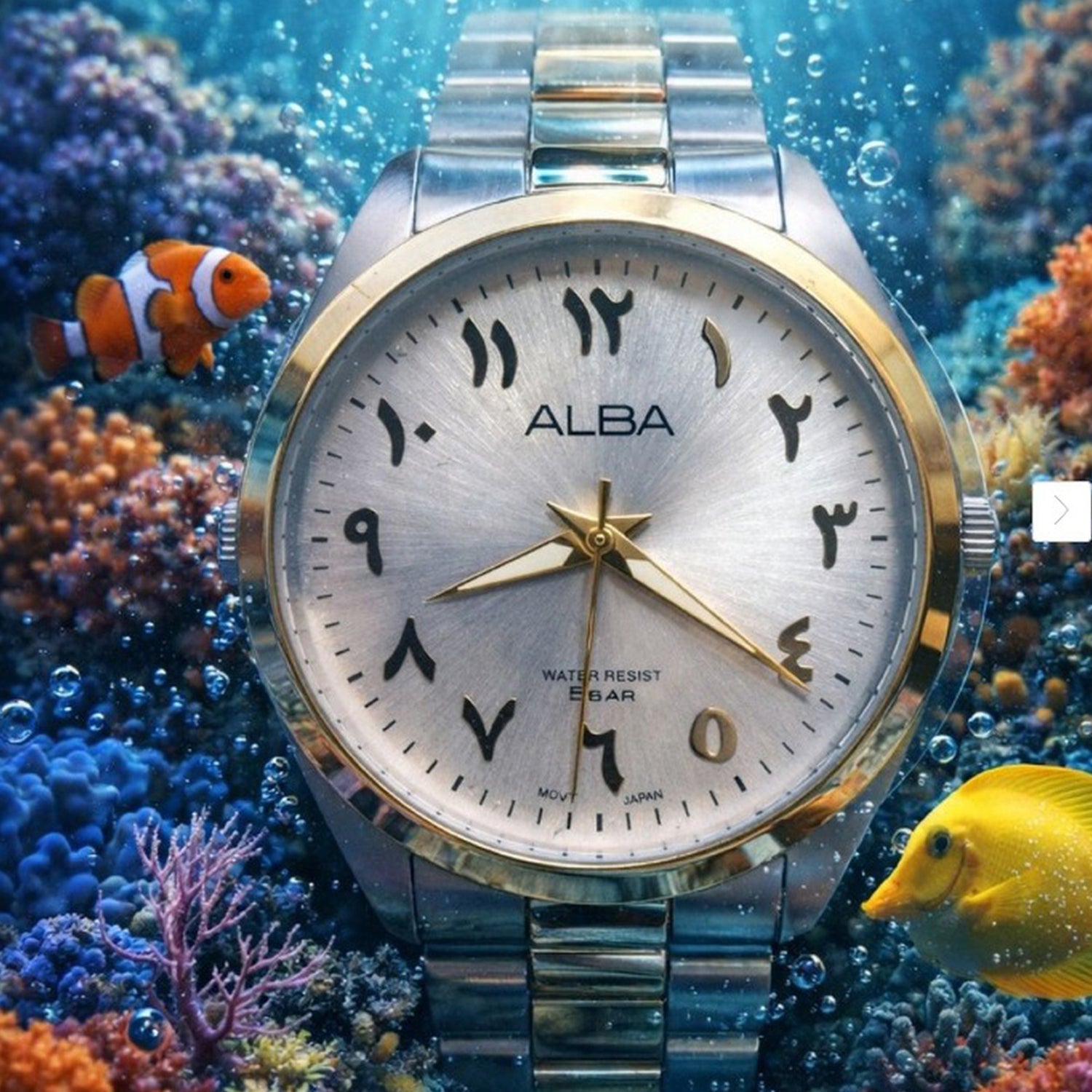 Men Quartz White Dial Analog Stainless Steel Watch ARX158X1