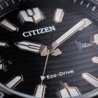 Men Quartz Black Dial Analog Watch AW1524-84E