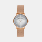 Lola Women Quartz Green Dial Analog Stainless Steel Watch AX5617