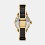 Gilmore Quartz Women Black Dial Analog Ceramic Watch CE1132