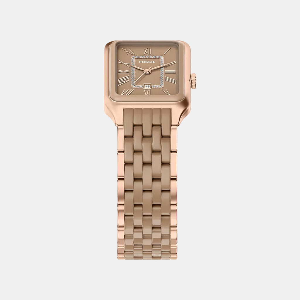 Raquel Women Quartz Nude Dial Analog Stainless Steel Watch CE1137