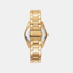 Chambers Midi Women Quartz Multicolour Dial Analog Stainless Steel Watch DK1L016M0065