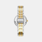 Downtown Midi Women Quartz Silver Dial Analog Stainless Steel Watch DK1L045M0065