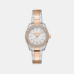 Luma Women Quartz Silver Dial Analog Stainless Steel Watch DK1L107M0095