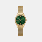 Women Quartz Green Dial Analog Stainless Steel Watch DK1L113M0075