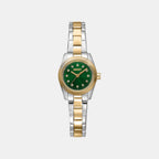 Women Quartz Green Dial Analog Stainless Steel Watch DK1L125M0055