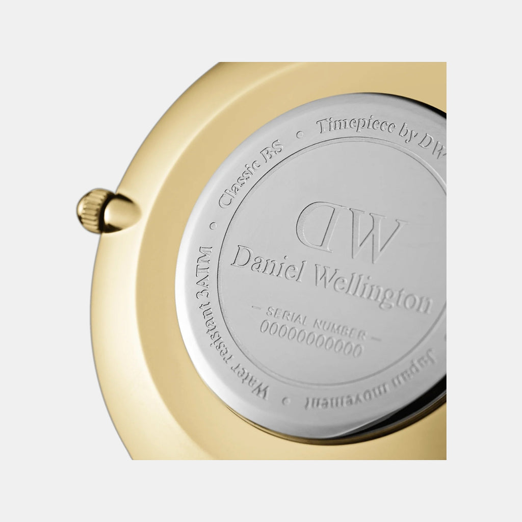 Petite Women Quartz White Dial Analog Stainless Steel Watch DW00100350