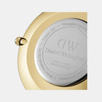 Petite Women Quartz White Dial Analog Stainless Steel Watch DW00100350