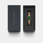 Quadro Women Quartz Green Dial Analog Stainless Steel Watch DW00100437K