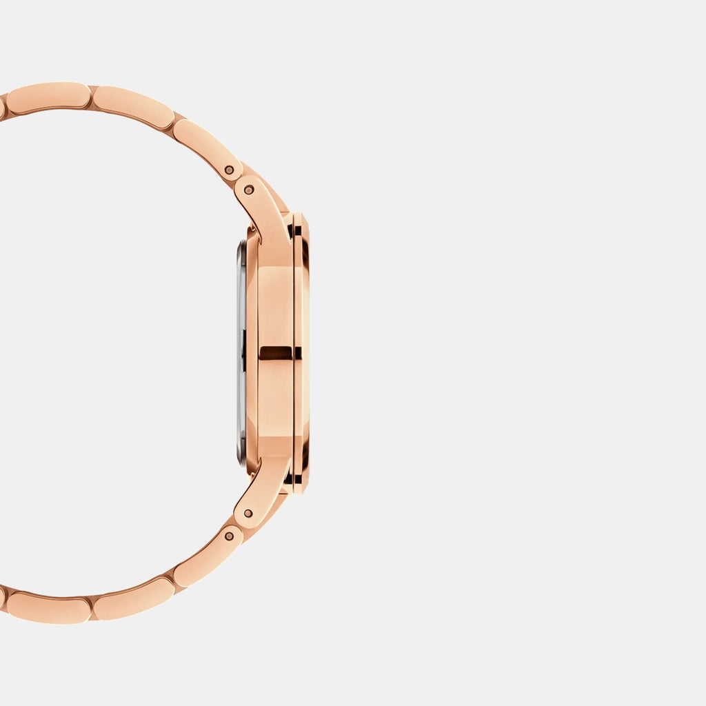 Iconic Women Quartz Brown Dial Analog Stainless Steel Watch DW00100462K