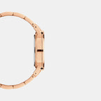 Iconic Women Quartz Brown Dial Analog Stainless Steel Watch DW00100462K