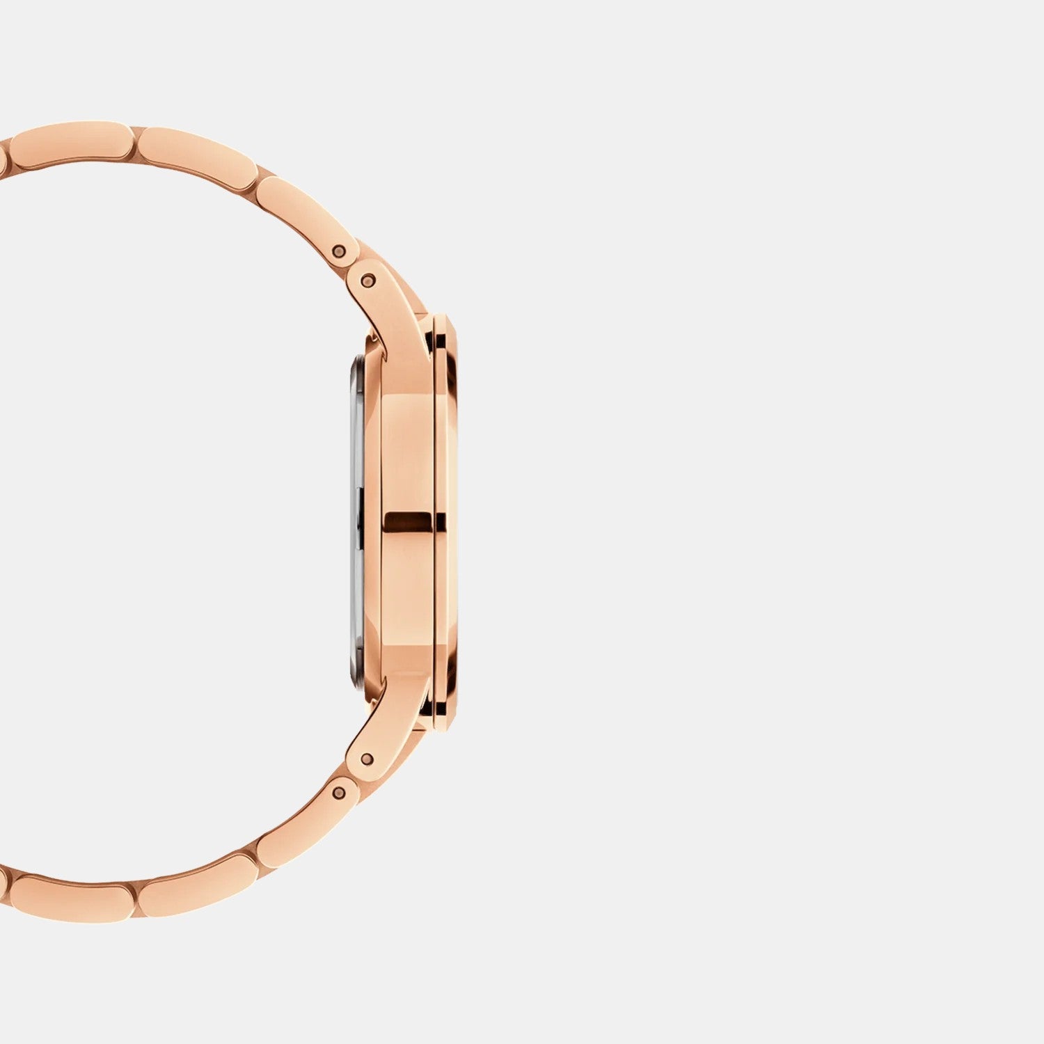 Iconic Women Quartz Brown Dial Analog Stainless Steel Watch DW00100462K